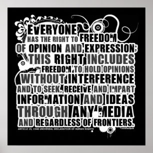 Artikel 19 Citat (B&W) Poster