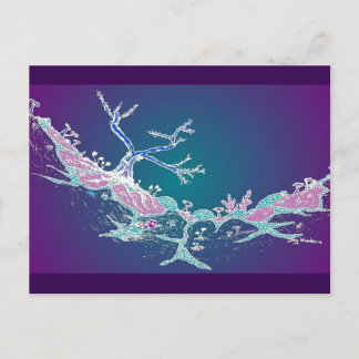 Artikel vykort 10: Magic Valley Midnight Luminous