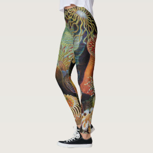 Artikeln av Ernst Haeckel Leggings
