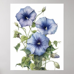 Artikelutskrift på morgonen Poster Glory Flowers A