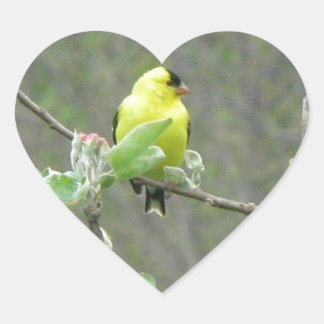 Artiklar med sommarsångfåglar hjärtformat klistermärke