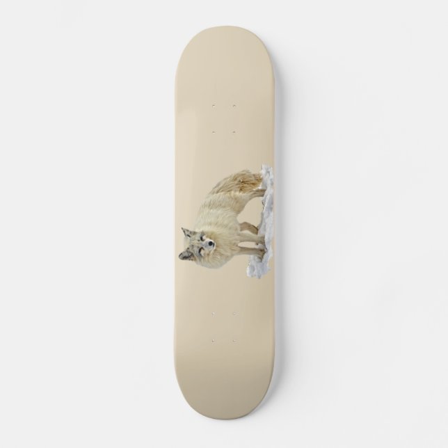 Artisk räx skateboard bräda 20,5 cm (Framsida)