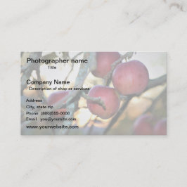 Artist/Photographer/Digital Art Visitkort