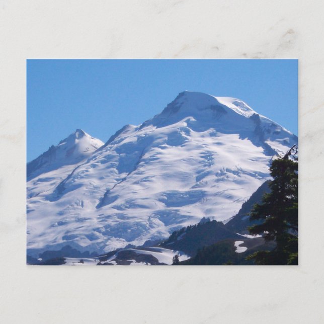 Artist Point Mt. Baker Vykort (Framsida)