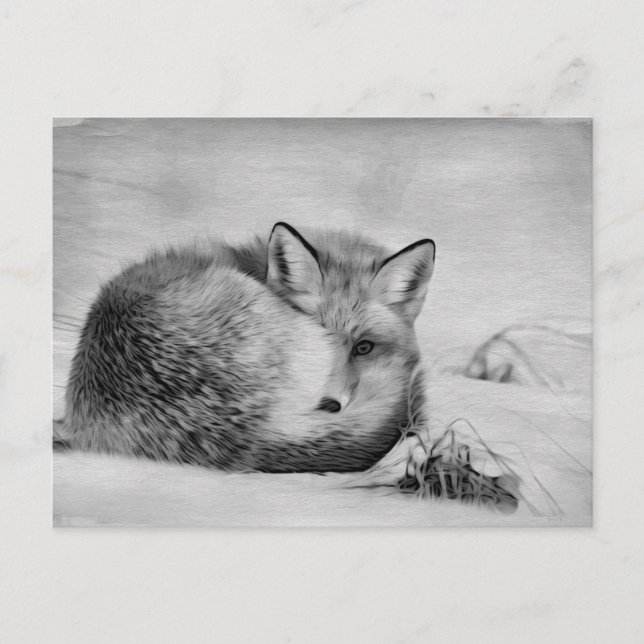 *~* Artistic Animal Red Fox Ap18 Artsy Wildlife Vykort (Framsida)