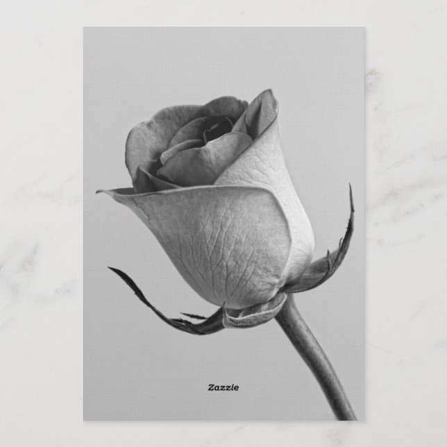 Artistic Minimalist Black and White Rose Bud  Inbjudningar (Baksida)