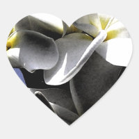 Artistiska plumeriablommor