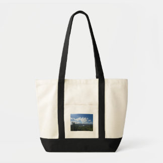 Artist's Rock Tote Tygkasse