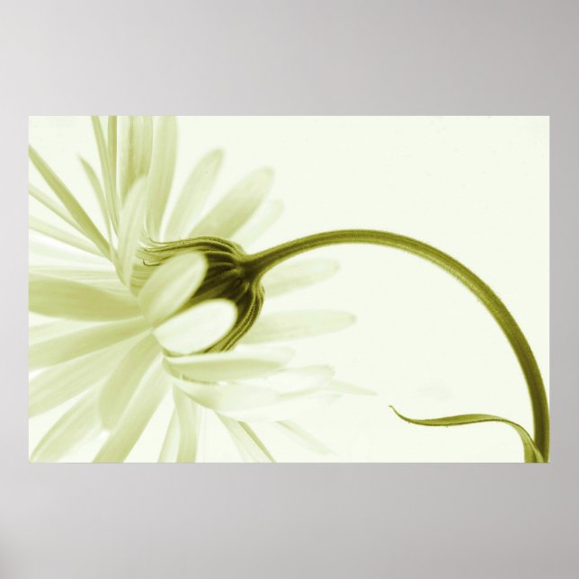 Artlös Poster (Framsidan)