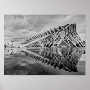 Arts- och naturvetenskap - Valencia, Spanien Poster