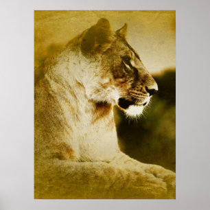 *~* Artsy AP23 Artistic Watercolor Golden LIONESS Poster
