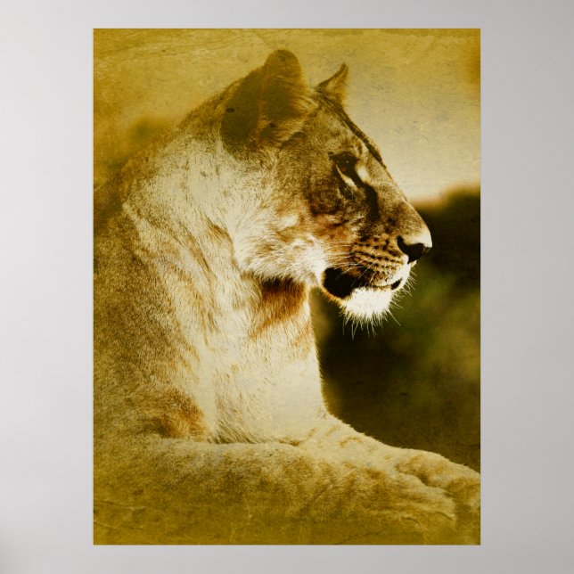 *~* Artsy AP23 Artistic Watercolor Golden LIONESS Poster (Framsidan)