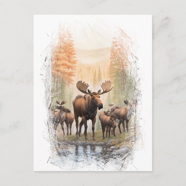 *~* Artsy AP49 MOOSE HERD Forest STREAM Vykort (Framsida)