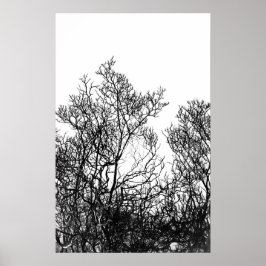 Artsy Black and White Tree Modern Poster