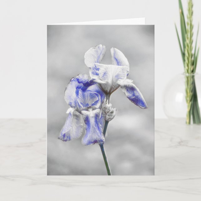 Artsy Blue Grått Iris Flower Porträtt Art Card Kort (Framsida)