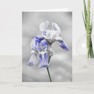 Artsy Blue Grått Iris Flower Porträtt Art Card Kort