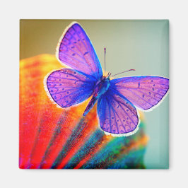 Artsy Butterfly Magnet