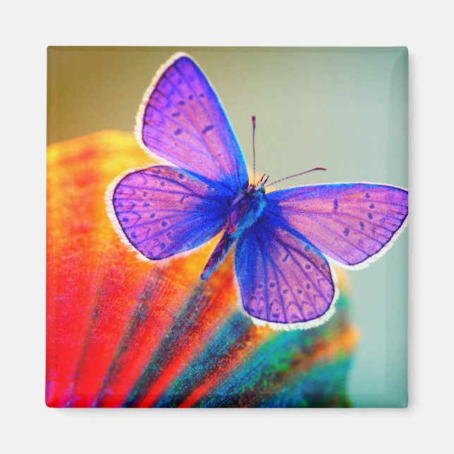 Artsy Butterfly Magnet (Framsidan)