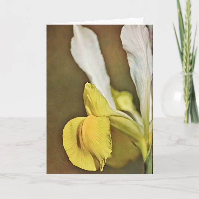 Artsy Dutch Iris Flower Note Card Kort (Framsida)