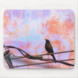 Artsy Grackle Musmatta