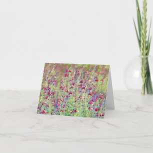 Artsy Meadow Vild Flowers Art Note Card Kort