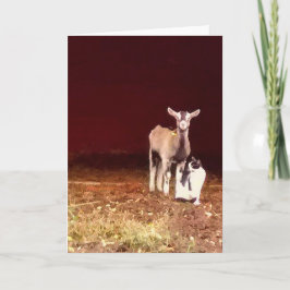 Artsy Photo of a Goat and Hans Cat Greeting Card Kort