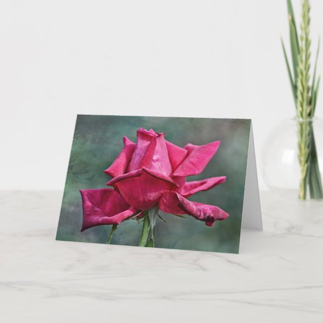 Artsy Red Rosa ros Art Note Card Kort (Framsida)