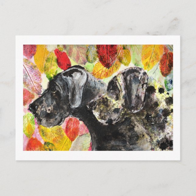 ARtwork Great dane hundar Vykort (Framsida)