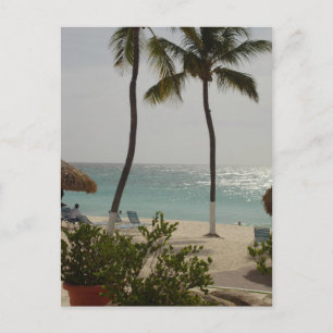 Aruba Baby Beach Vykort