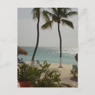Aruba Baby Beach Vykort
