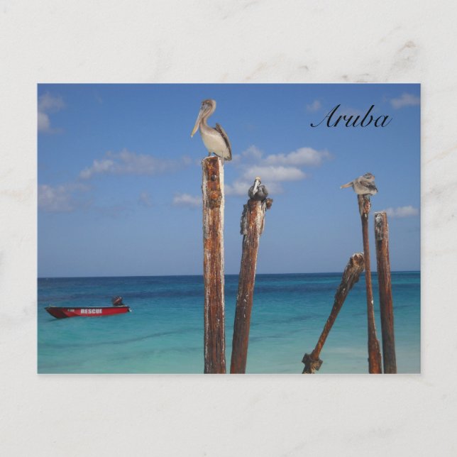 Aruba, Blå himmel i Paradise Postcard Vykort (Framsida)