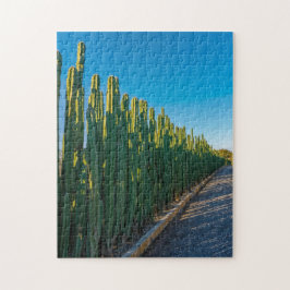 Aruba cactus fence pussel