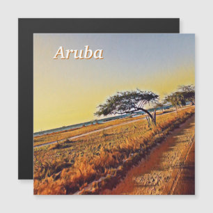 Aruba Divi Divi Träd