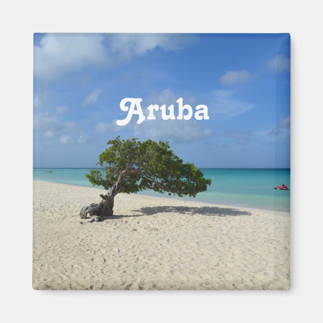 Aruba Divi Divi Träd Magnet (Framsidan)