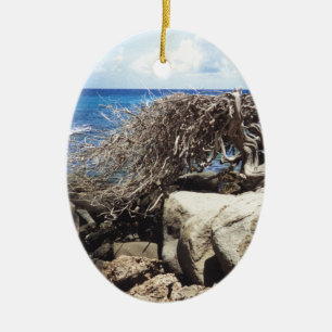 Aruba Divi Divi träd på hav Julgransprydnad Keramik