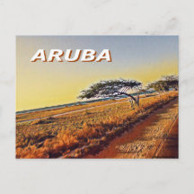 Aruba - Divi Divi Träd