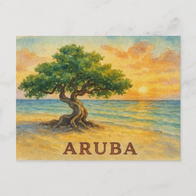Aruba Eagle Beach Divi Träd Gyllene Timmen Vykort (Framsida)