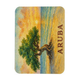 Aruba Eagle Beach Divi Tree Gyllene Timmen Magnet