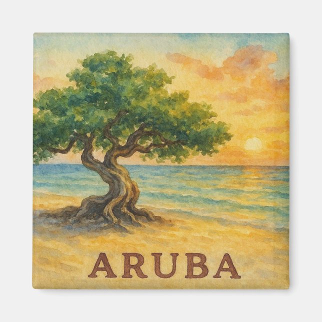 Aruba Eagle Beach Divi Tree Gyllene Timmen Magnet (Framsidan)