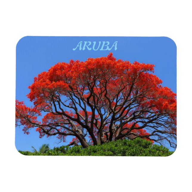 Aruba en lycklig ö-magnet magnet (Horisontell)