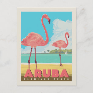 Aruba Flamingo Beach Vykort