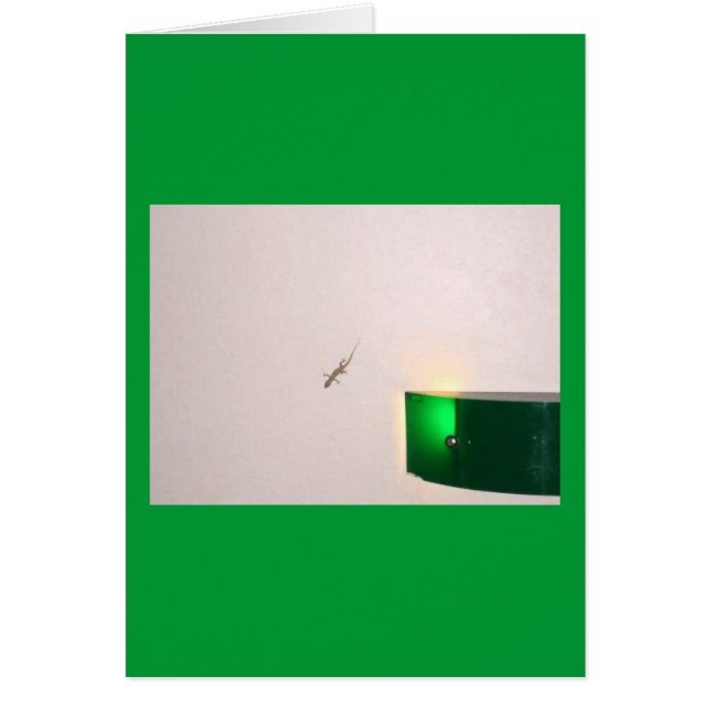 Aruba Gecko Hälsningskort (Framsidan)