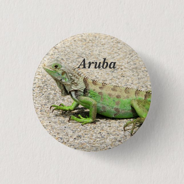 Aruba grön leguan knapp (Framsida)