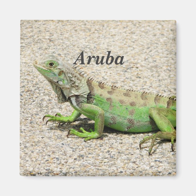 Aruba Grönt Iguana Magnet (Framsidan)