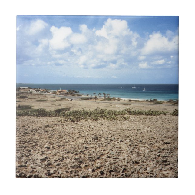 Aruba Klippig Havsutsikt Kakelplatta (Framsidan)