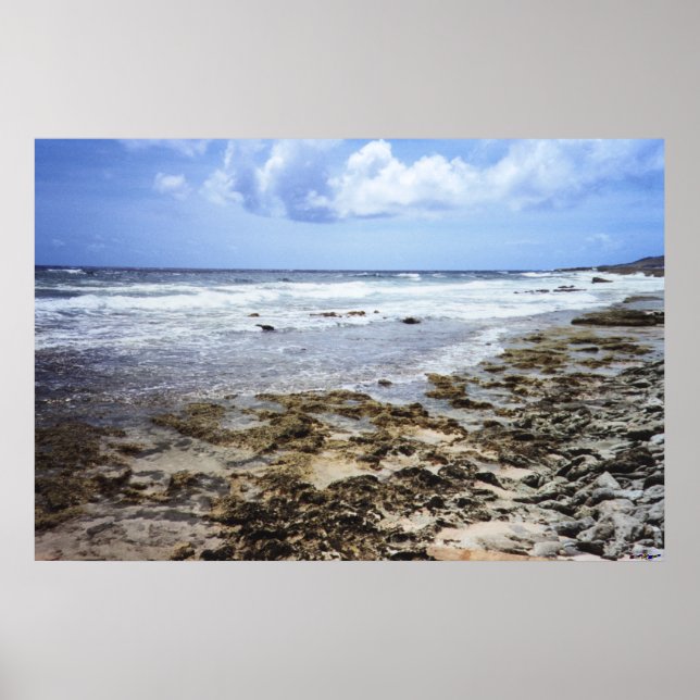 Aruba Klippig Ocean Poster (Framsidan)