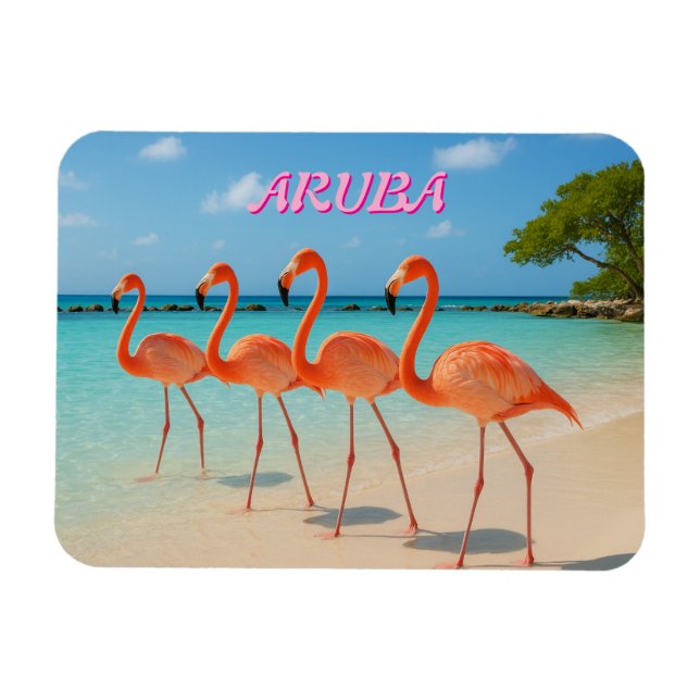 Aruba magnet (Horisontell)