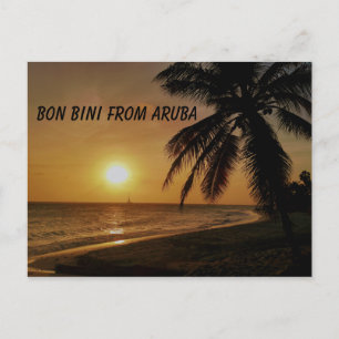 Aruba med solnedgång över vatten och handflatan tr vykort