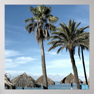 Aruba Ocean View Handflatan Träd och Beach Palapa Poster