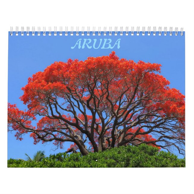 Aruba one happy island calendar kalender (Omslag)